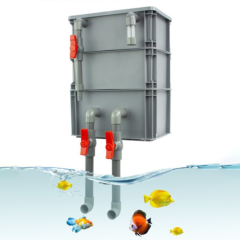 Box Fish In Aquarium - DIY External Drip Flow Filter Box