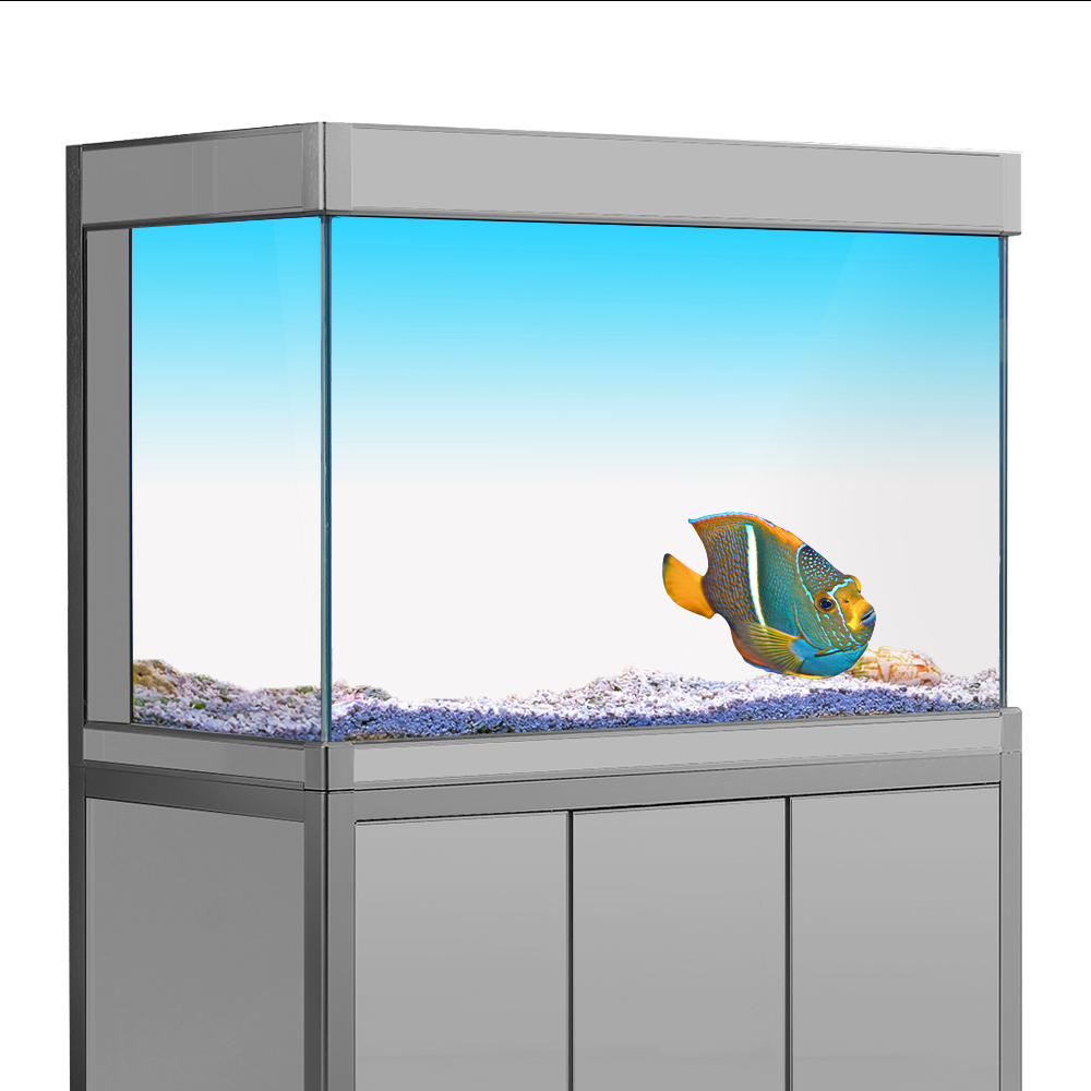 Aquarium Fish Wallpaper - Cá Nền Miếng Dán Trắng Vàng