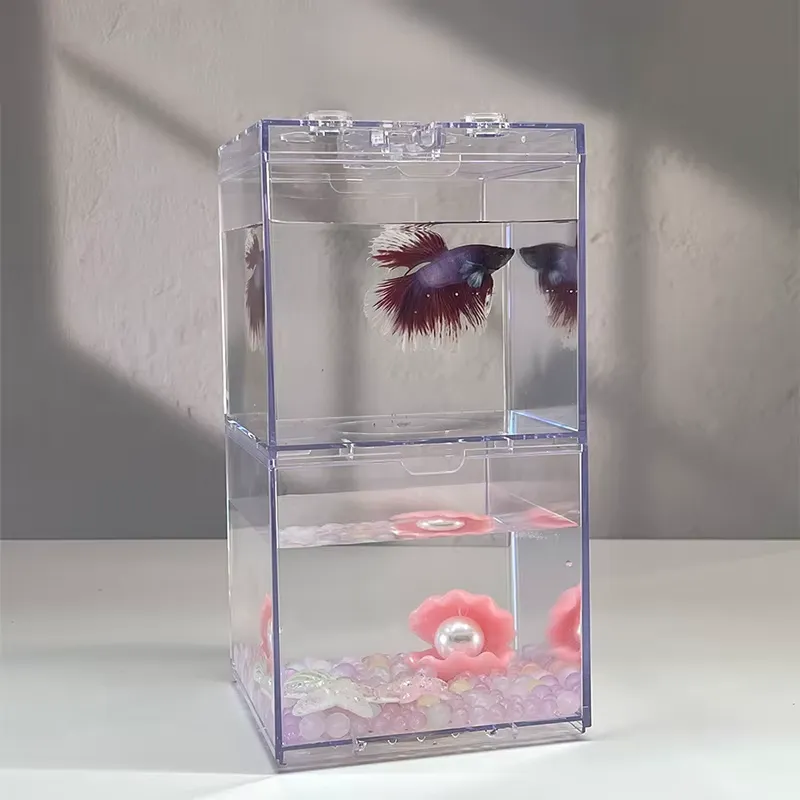 Box Fish In Aquarium - Relaxlines Mini Aquarium Box Table Decoration