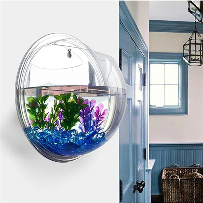 Aquarium Fish Enrichment - Acrylic Trong Suốt Treo Tường Hồ