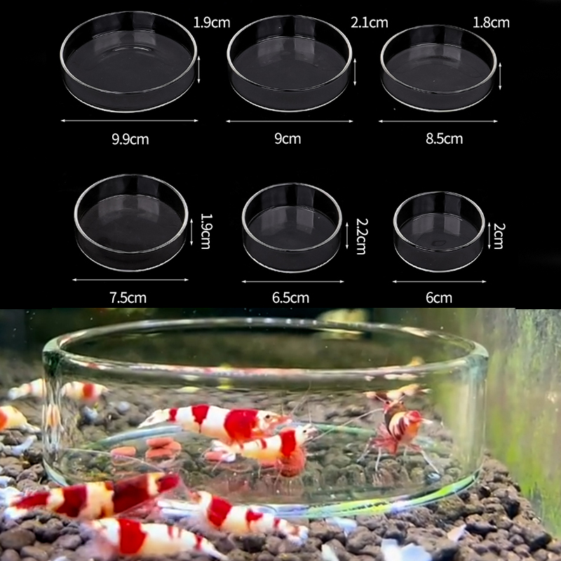 Aquarium Fish Eggs - Shrimp Feeding Dish High Transparent Glass