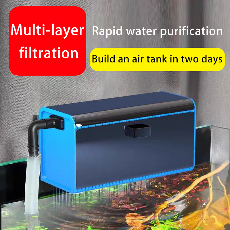 Box Fish In Aquarium - Fish Tank Filter Box Free Water