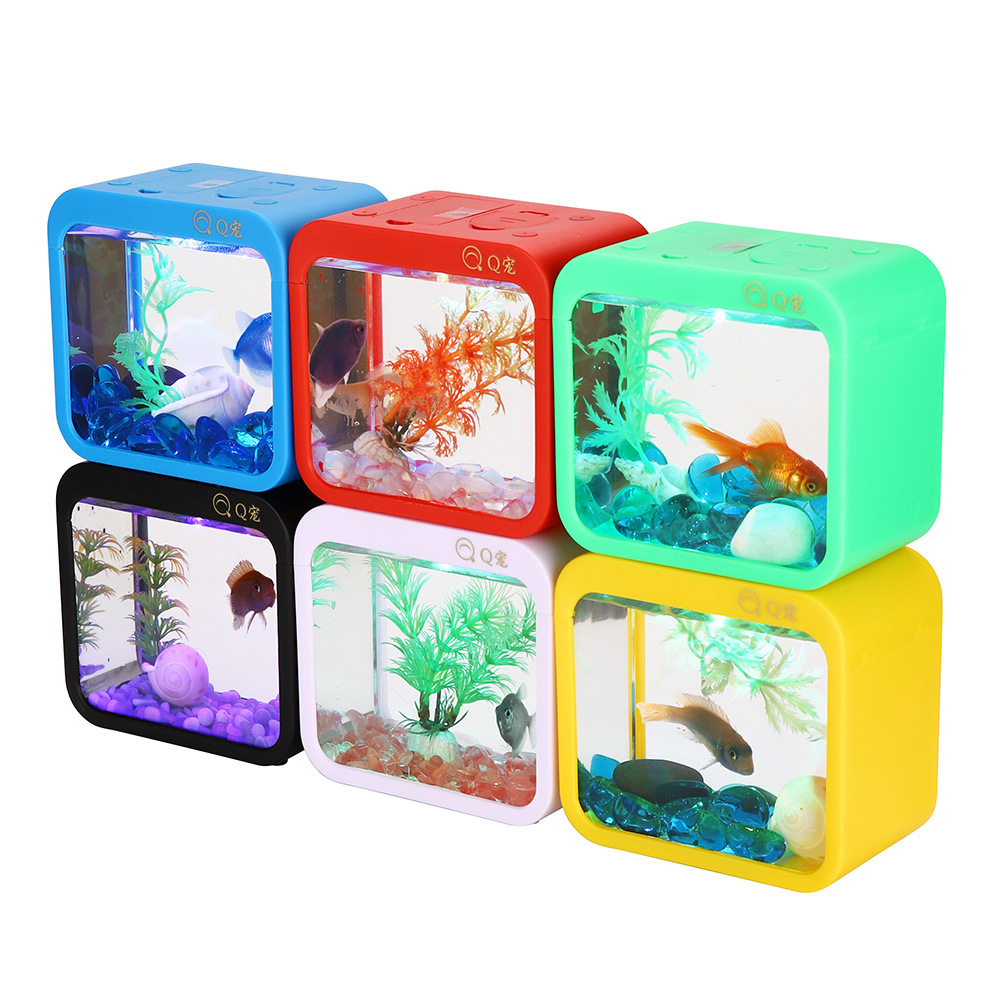 Colorful Creative Betta Box Wi - đánh giá và giá Aquarium Goldfish