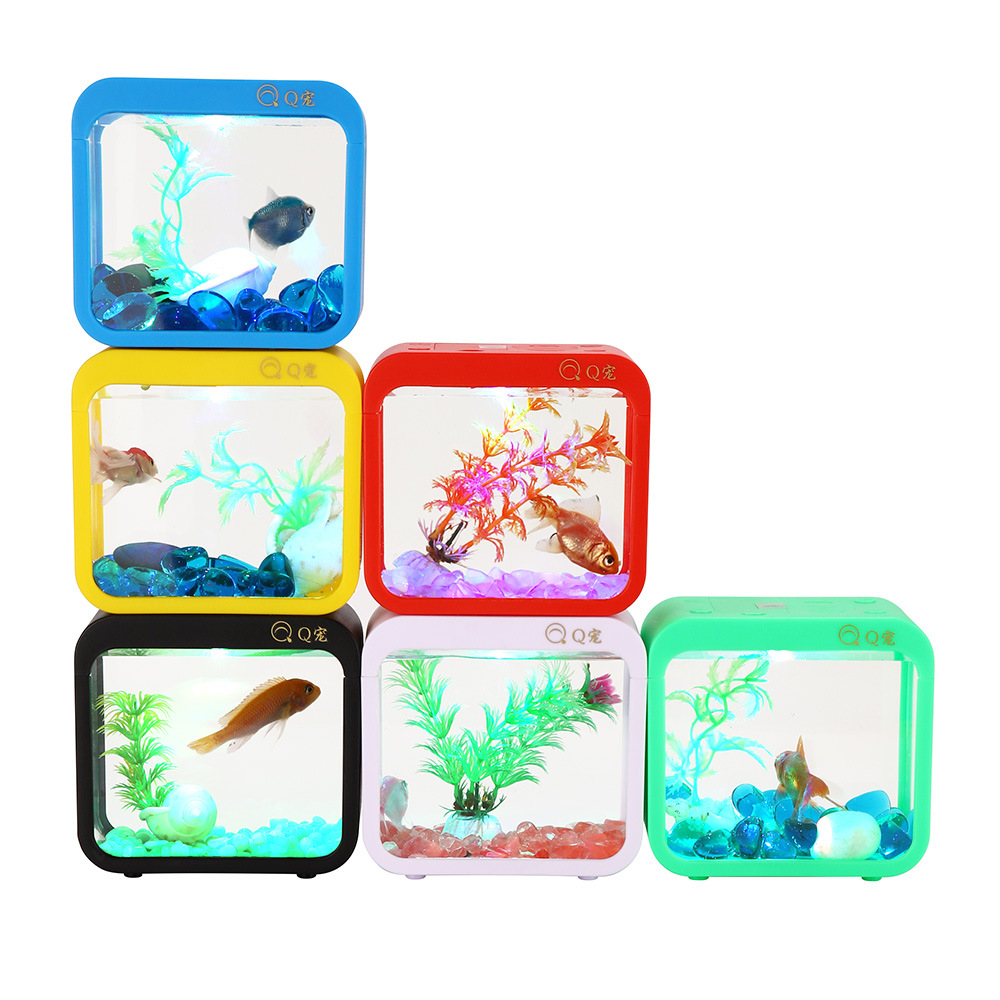 Colorful Creative Betta Box Wi - đánh giá và giá Aquarium Goldfish