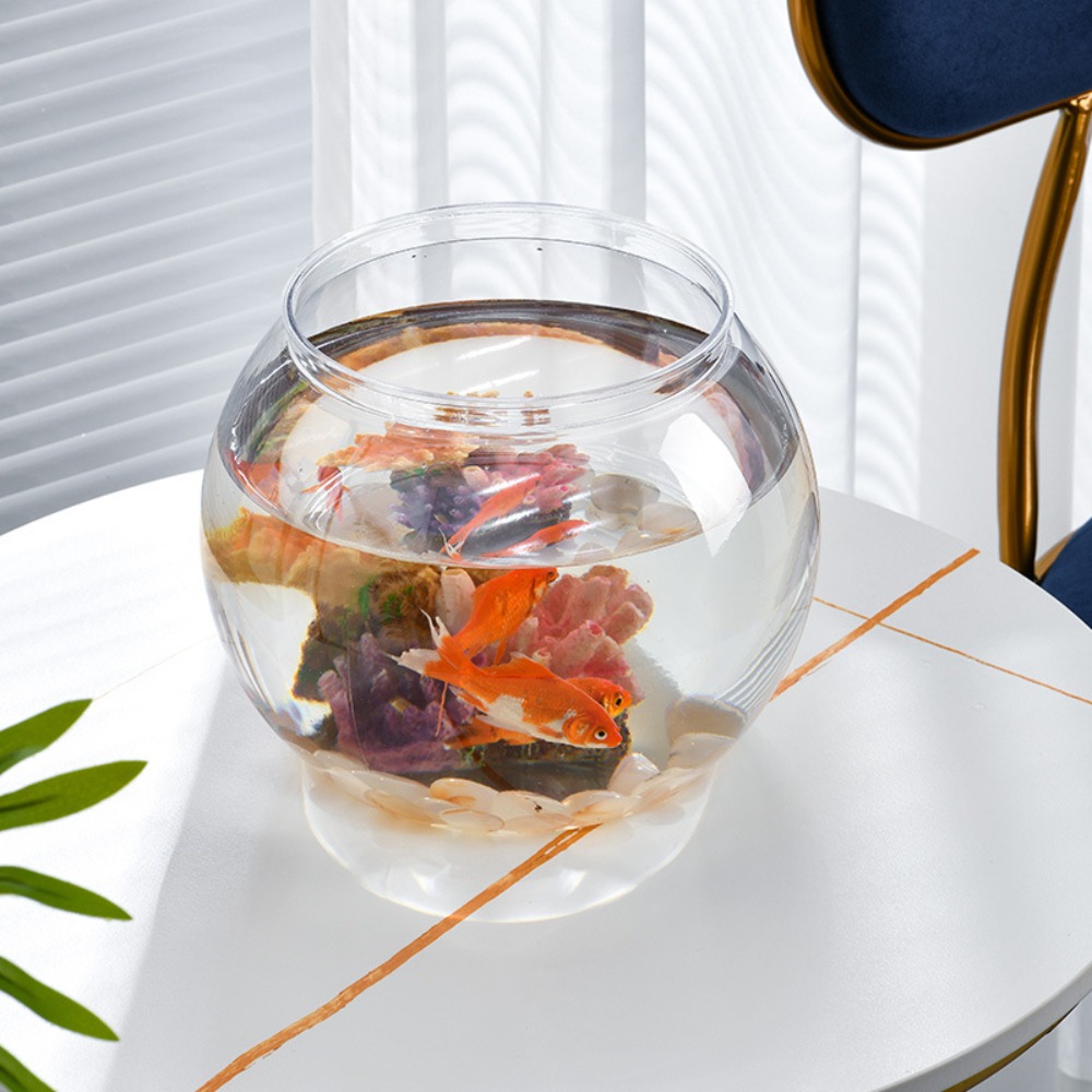 Home Decor Clear Transparent R - đánh giá và giá Aquarium Goldfish