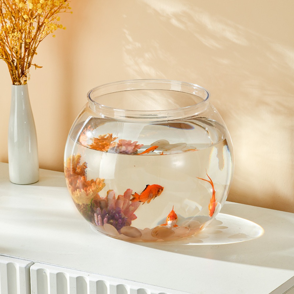 Home Decor Clear Transparent R - đánh giá và giá Aquarium Goldfish