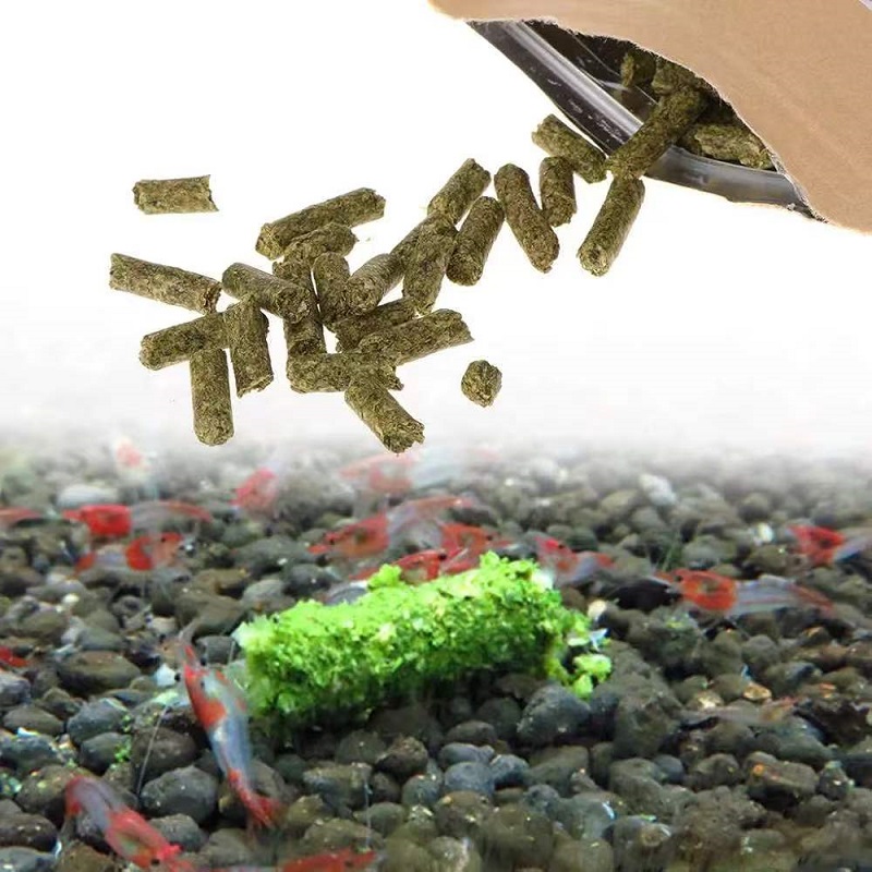 Spinach Shrimp Feed Ornamental - đánh giá và giá Aquarium Fish Eggs