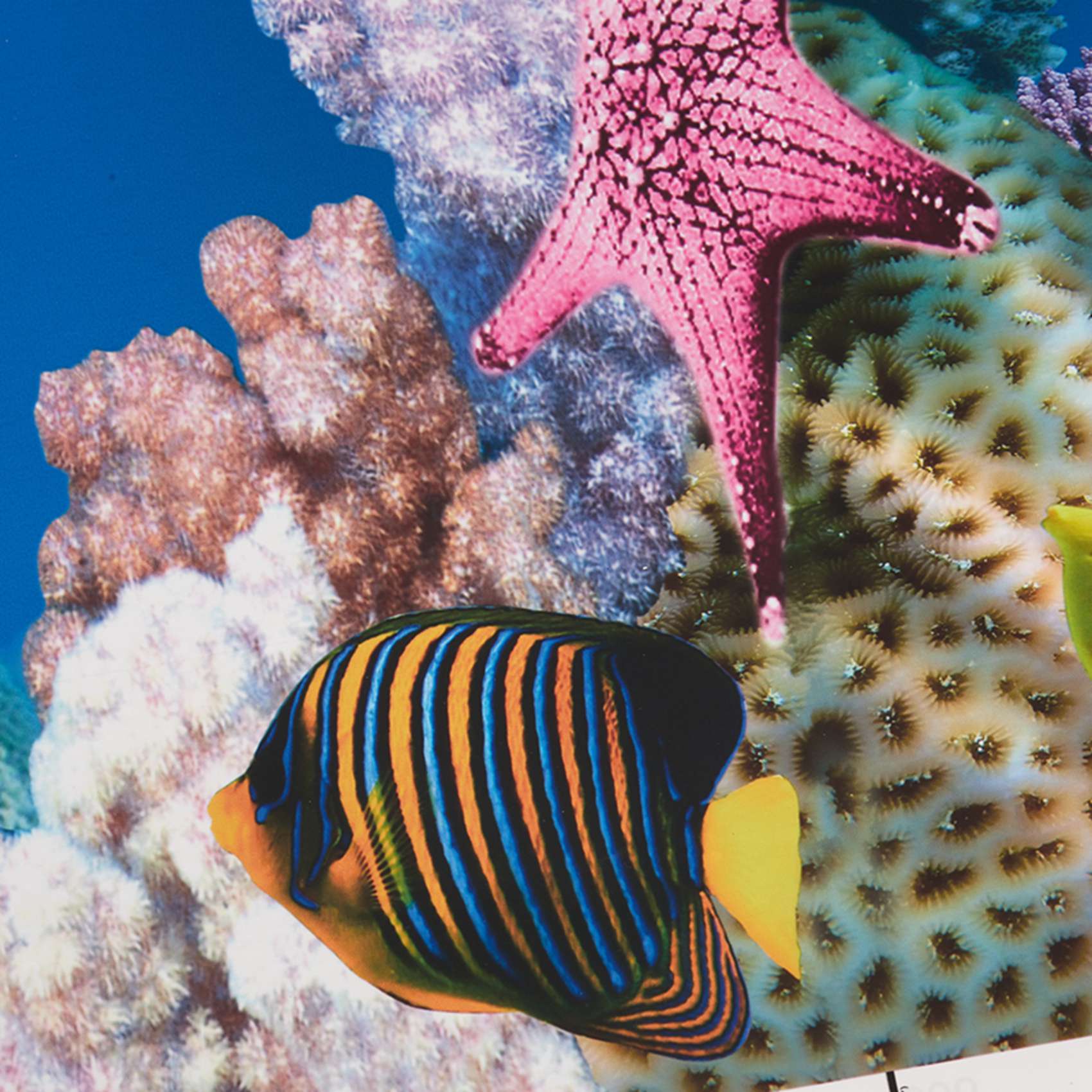 ABWR-Aquarium Background Paper - đánh giá và giá Aquarium Fish Wallpaper