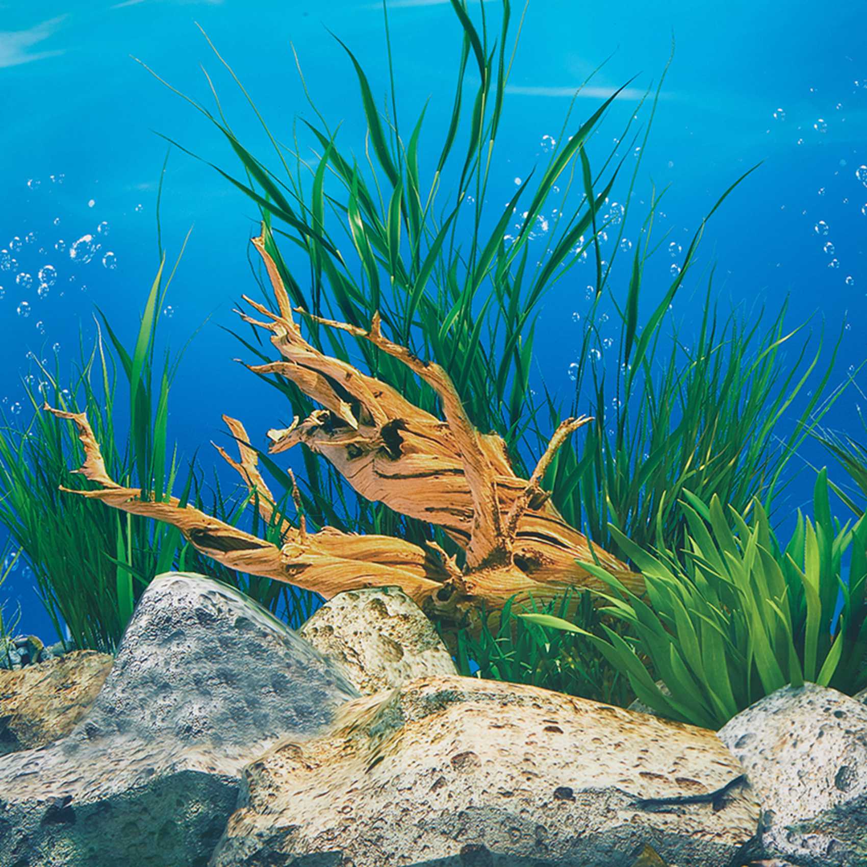 ABWR-Aquarium Background Paper - đánh giá và giá Aquarium Fish Wallpaper