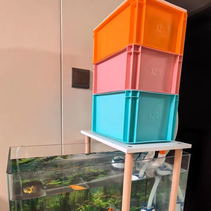 Hang on Filters Aquariums Turn - đánh giá và giá Box Fish In Aquarium