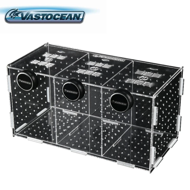 VASTOCEAN Cá Từ Kết Hợp Acryli - đánh giá và giá Box Fish In Aquarium