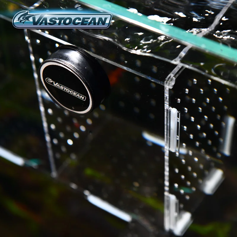 VASTOCEAN Cá Từ Kết Hợp Acryli - đánh giá và giá Box Fish In Aquarium