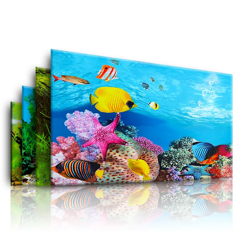 Nền Cho Bể Cá 3d Dán Poster Cá - đánh giá và giá Aquarium Fish Enrichment