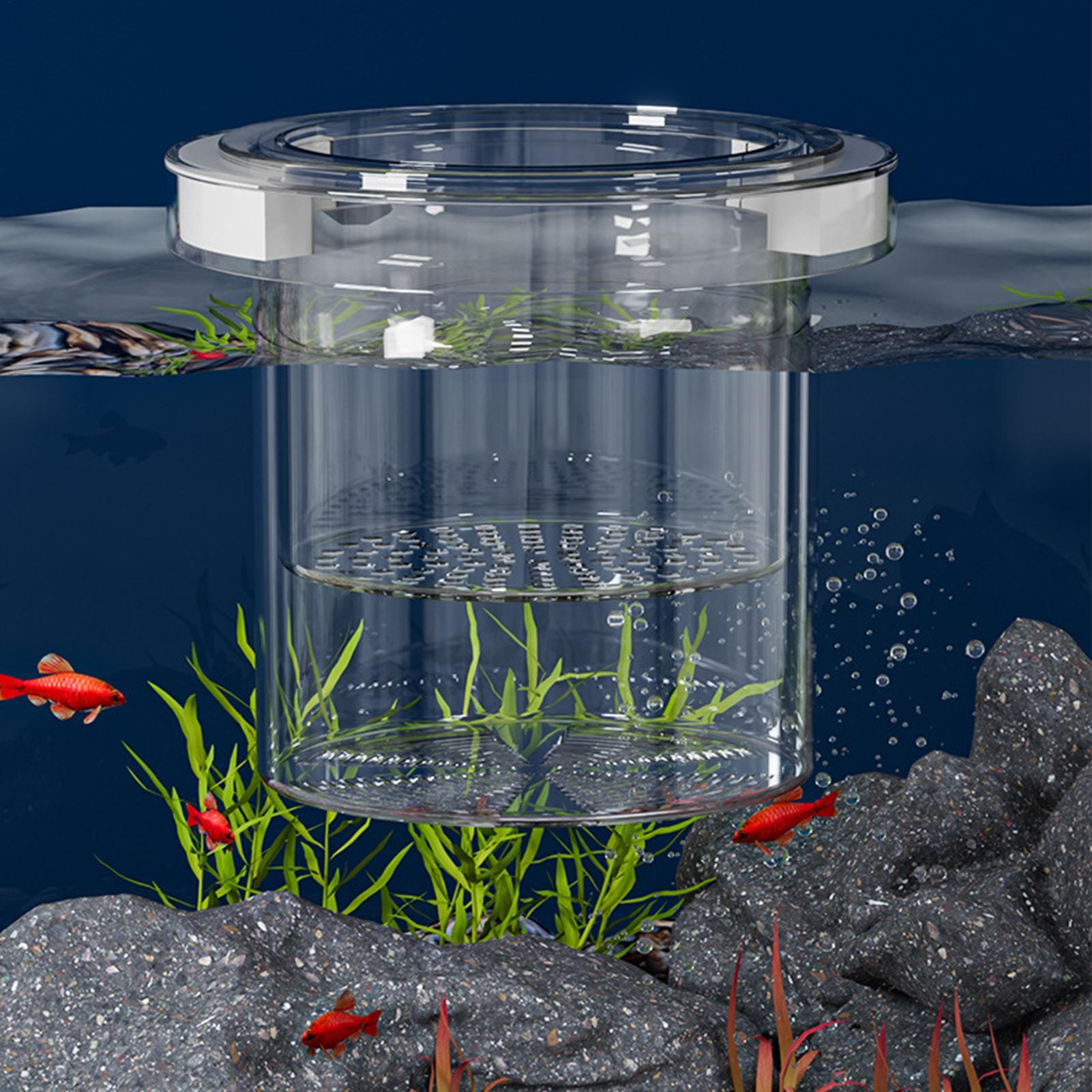 Floating Fish Breeding Isolati - đánh giá và giá Box Fish In Aquarium