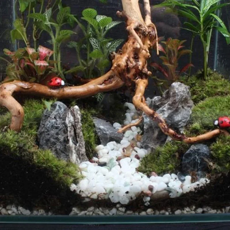 Natural Tree Trunk Driftwood A - đánh giá và giá Aquarium Fish Enrichment