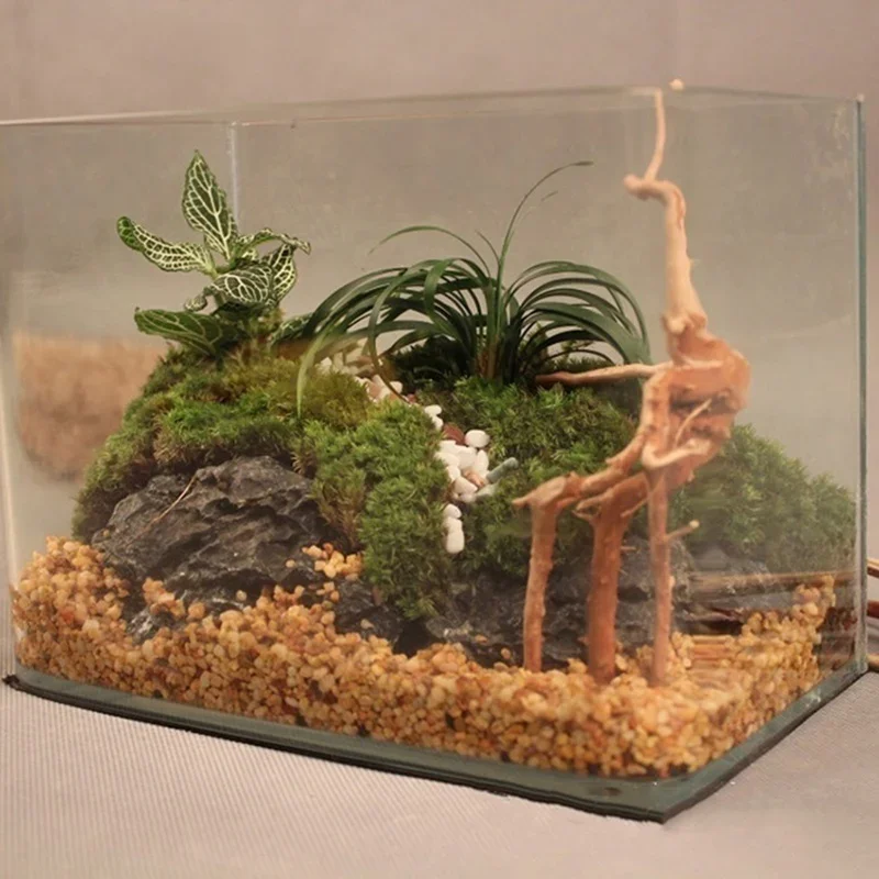 Natural Tree Trunk Driftwood A - đánh giá và giá Aquarium Fish Enrichment