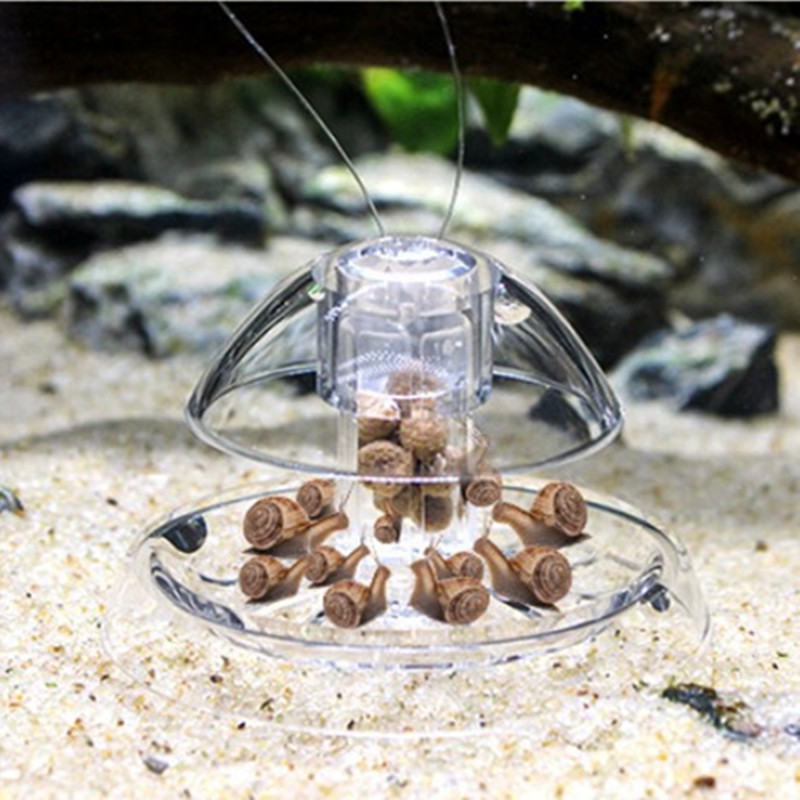 1PCS Fish Tank Aquarium Cleane - đánh giá và giá Aquarium Fish Eggs