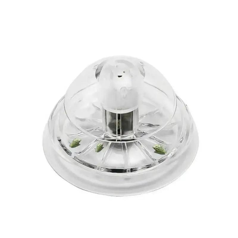2026 New 6/8CM Clear Plastic S - đánh giá và giá Aquarium Fish Eggs