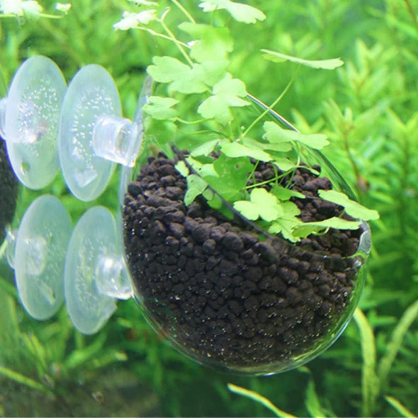 Aquarium Plant Holder Glass Aq - đánh giá và giá Aquarium Fish Enrichment