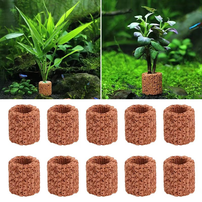 20 Chiếc Thủy Sinh Nước Nhẫn Đ - đánh giá và giá Aquarium Fish For Sale Online