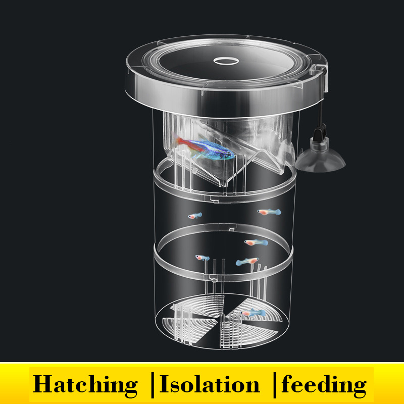 Floating Fish Breeding Isolati - đánh giá và giá Box Fish In Aquarium