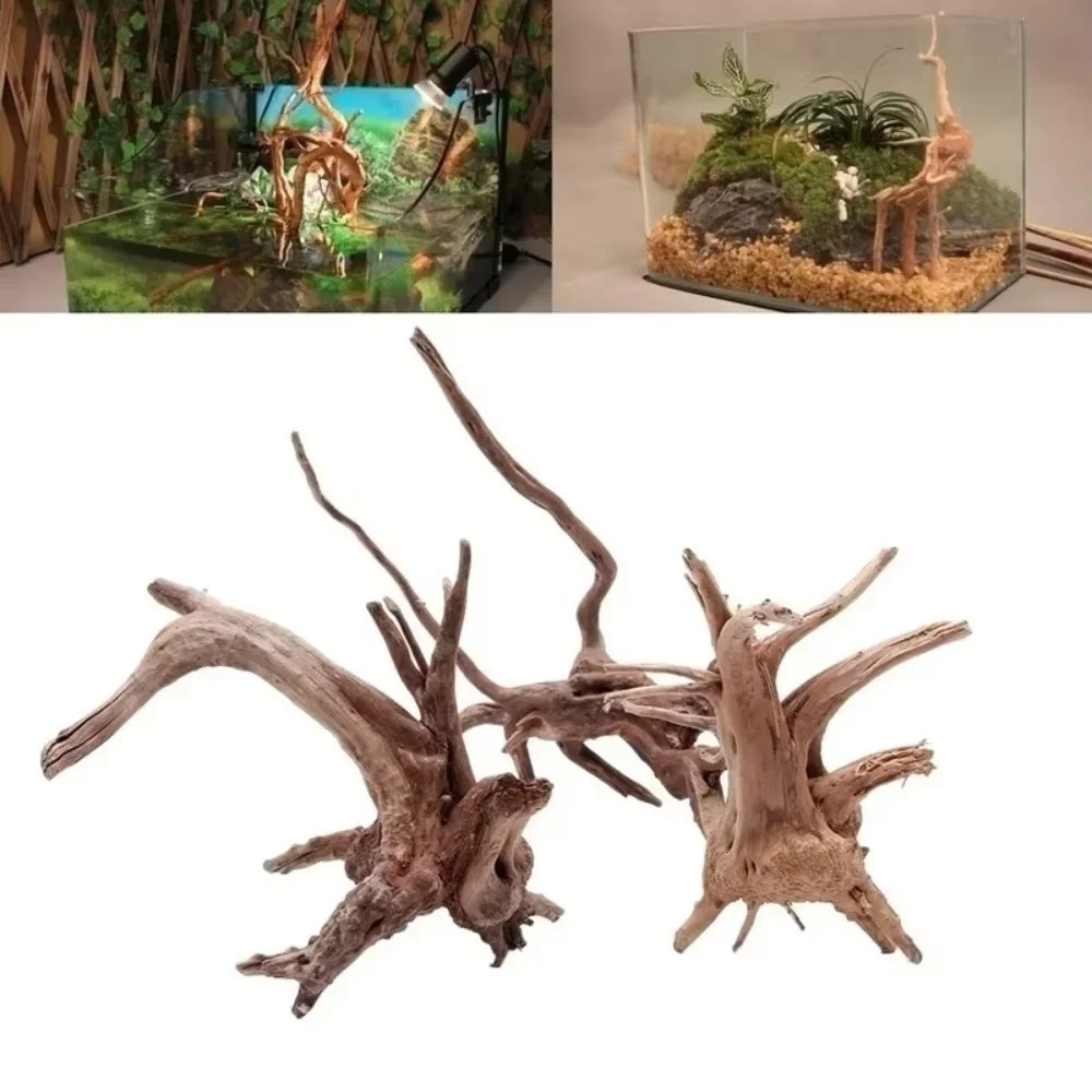 15-20CM Natural Driftwood Aqua - đánh giá và giá Aquarium Fish Types