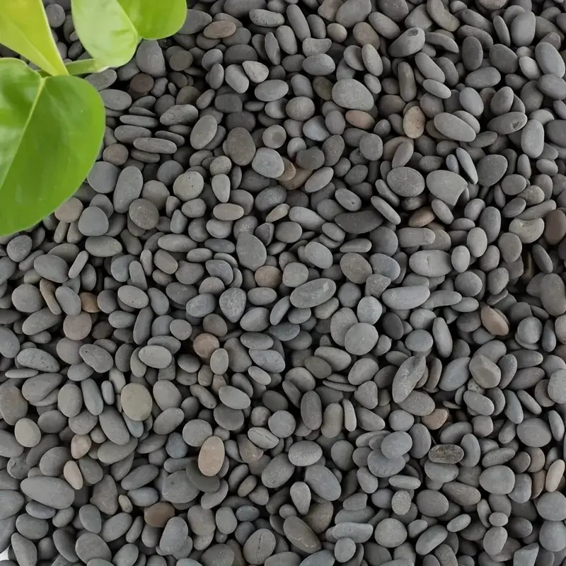20Pcs Natural River Rocks Smoo - đánh giá và giá Aquarium Fish Types