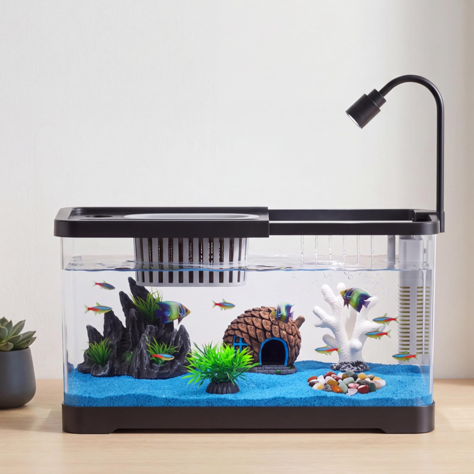Fish Tank Starter Kit With Fil - đánh giá và giá Aquarium Goldfish
