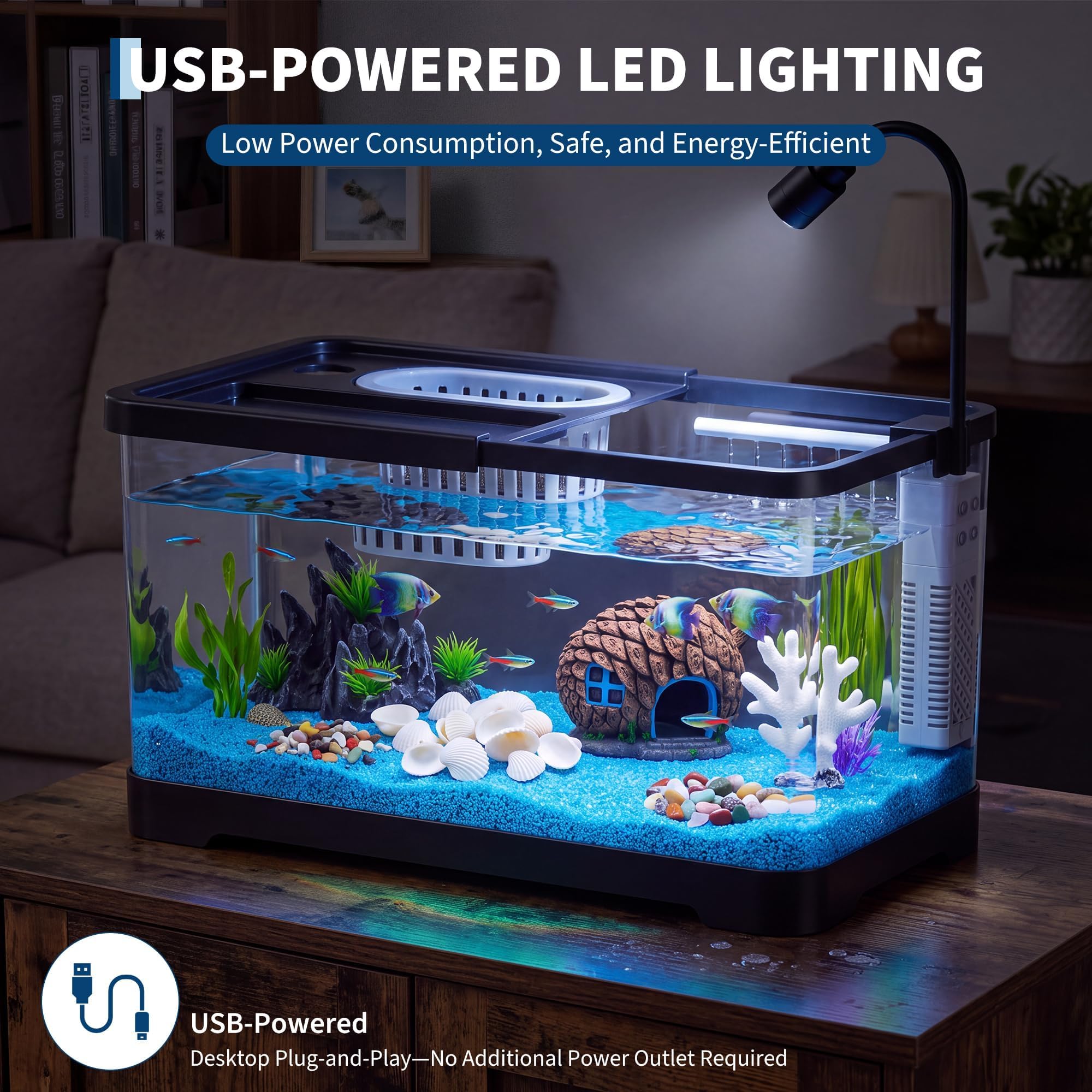 Fish Tank Starter Kit With Fil - đánh giá và giá Aquarium Goldfish