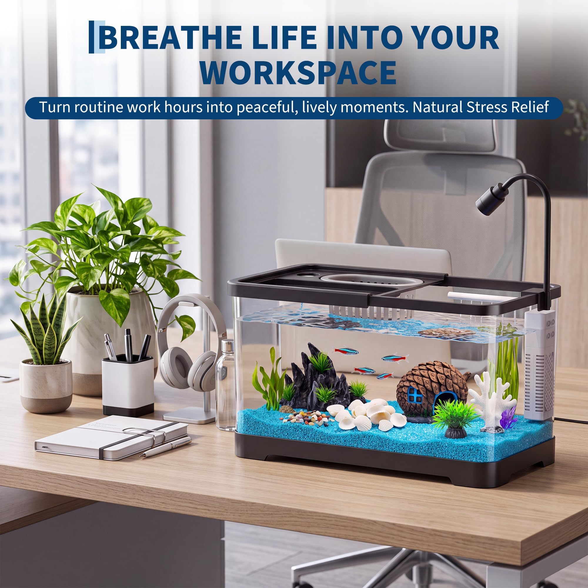 Fish Tank Starter Kit With Fil - đánh giá và giá Aquarium Goldfish