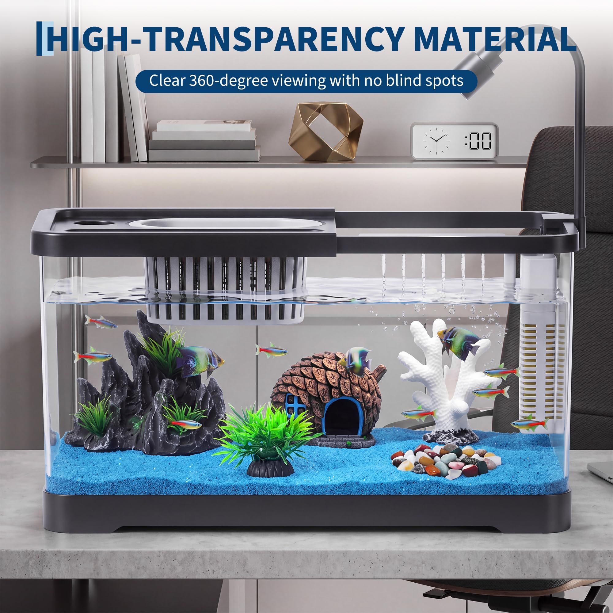 Fish Tank Starter Kit With Fil - đánh giá và giá Aquarium Goldfish