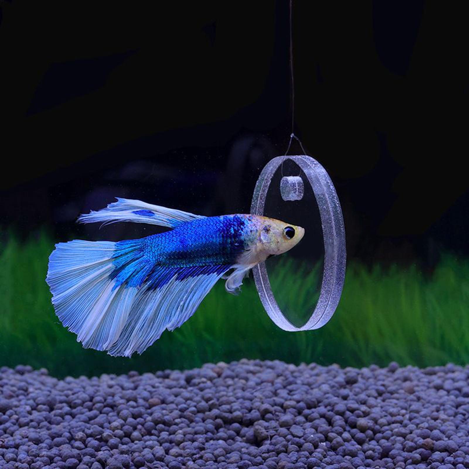 2Pcs Floating Feeding Ring Wit - đánh giá và giá Aquarium Fish Enrichment