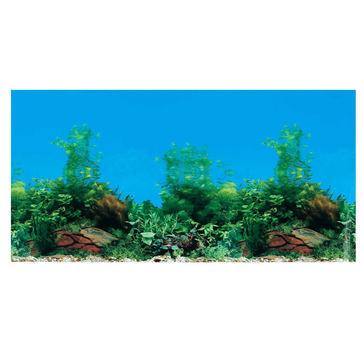Aquarium Background Decal Doub - đánh giá và giá Aquarium Fish Wallpaper
