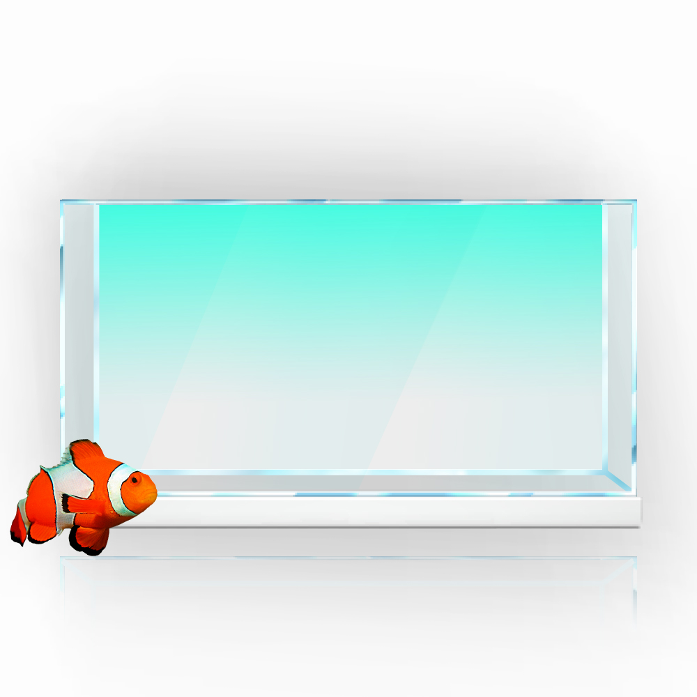 Cá Nền Miếng Dán Trắng Vàng Xa - đánh giá và giá Aquarium Fish Wallpaper