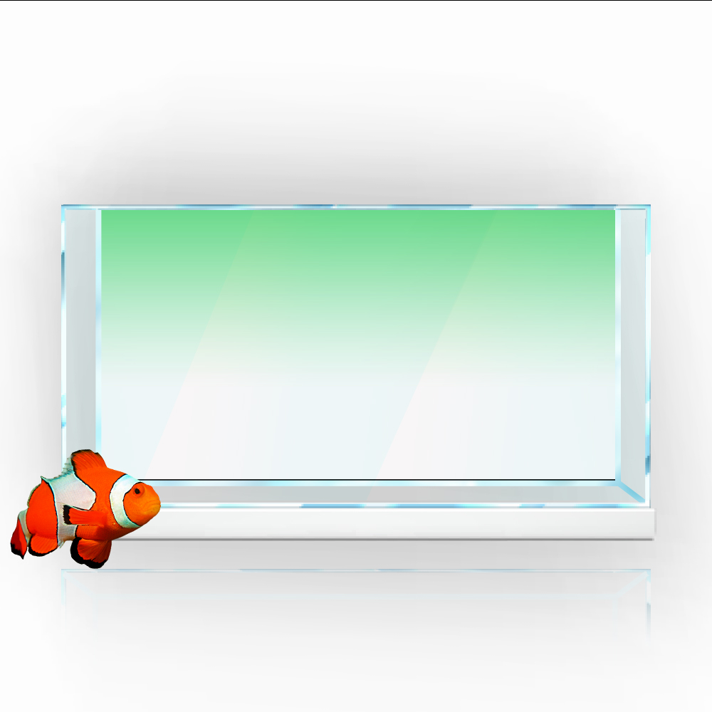 Cá Nền Miếng Dán Trắng Vàng Xa - đánh giá và giá Aquarium Fish Wallpaper