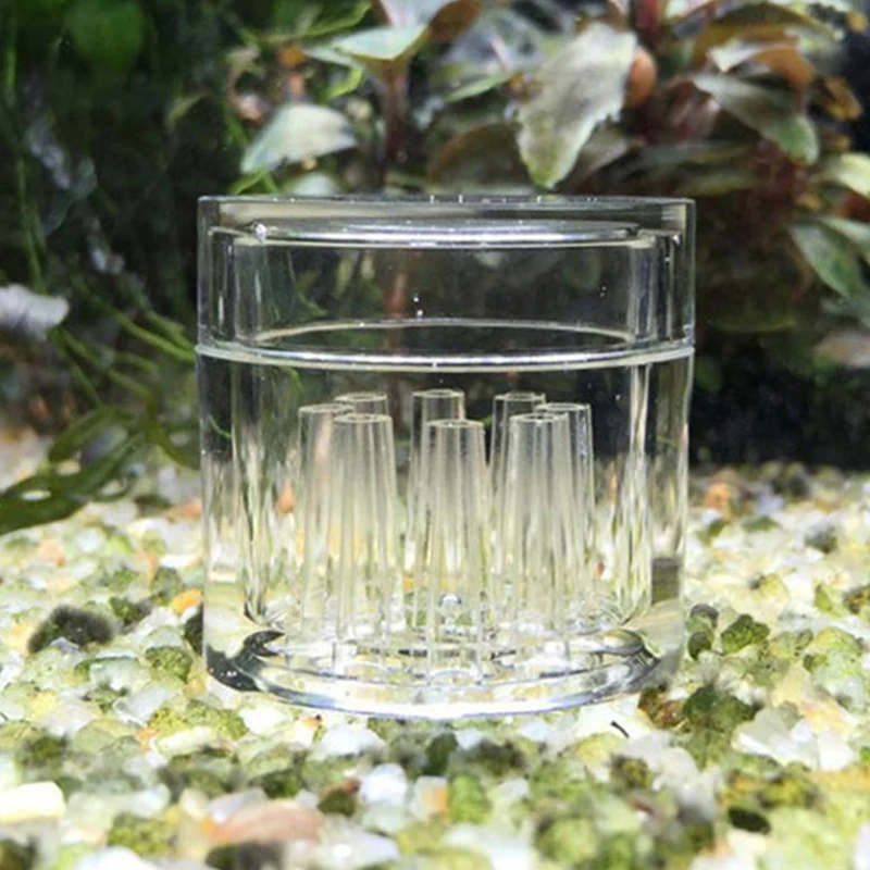 High Transparent  Aquarium Fis - đánh giá và giá Aquarium Fish Eggs