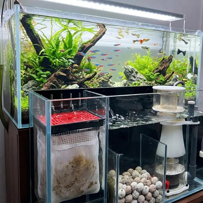 Aquarium Filter Bag Efficient  - đánh giá và giá Box Fish In Aquarium