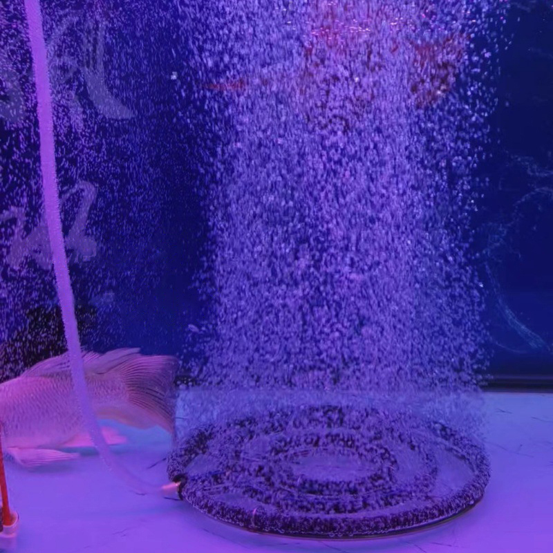 304 Stainless Steel Nano Oxyge - đánh giá và giá Aquarium Fish Discus