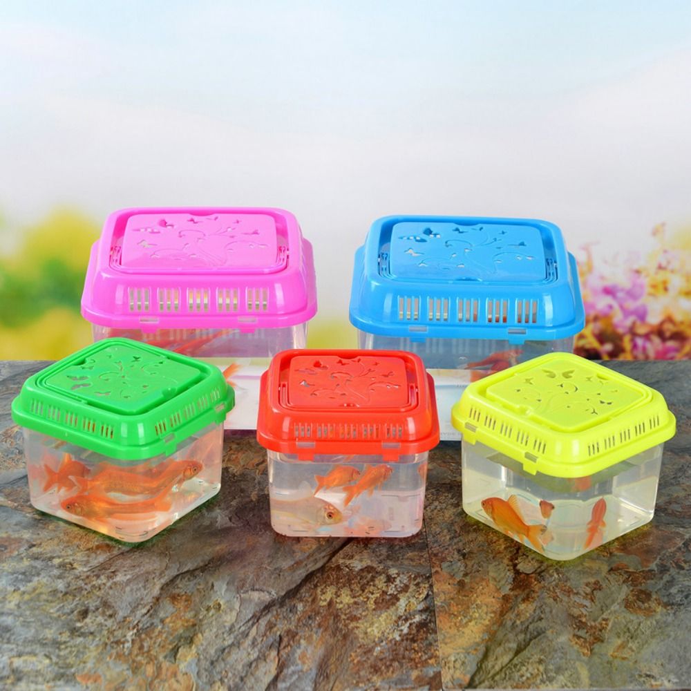Mini Portable Fish Tank Pet Su - đánh giá và giá Aquarium Goldfish