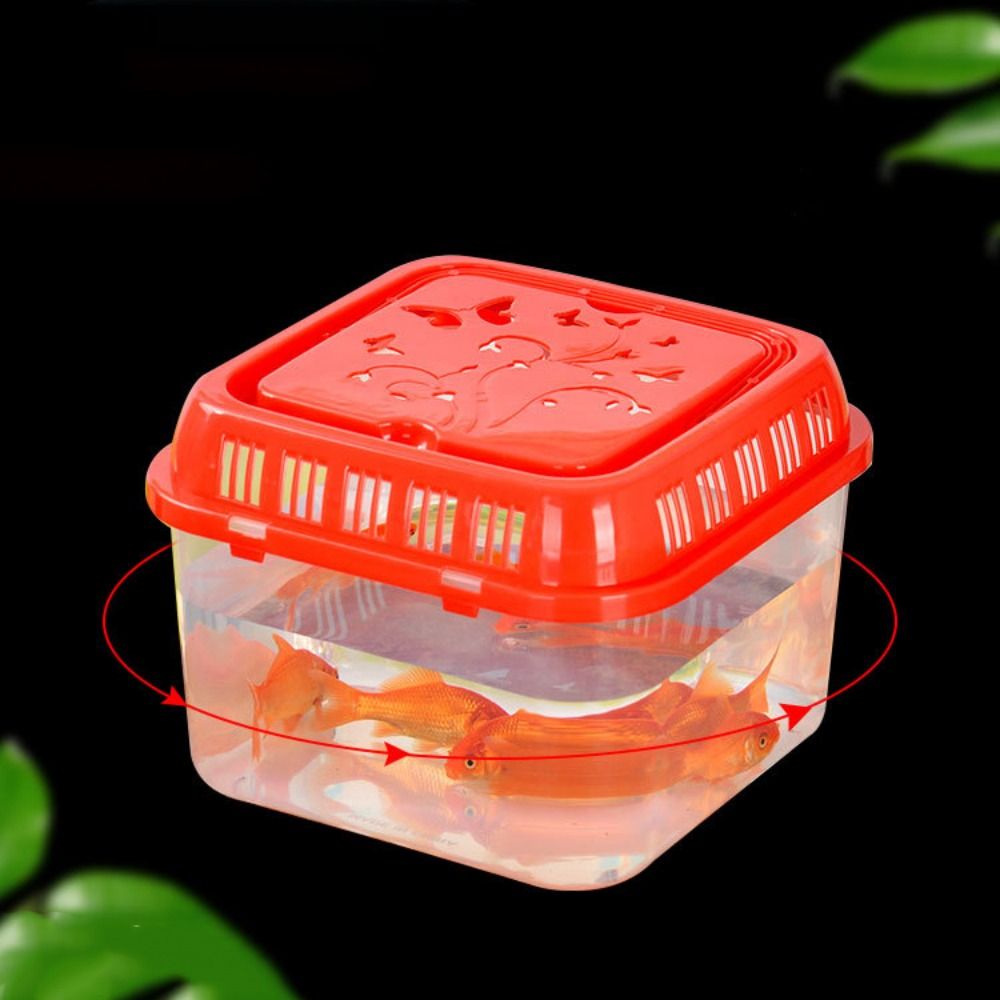 Mini Portable Fish Tank Pet Su - đánh giá và giá Aquarium Goldfish
