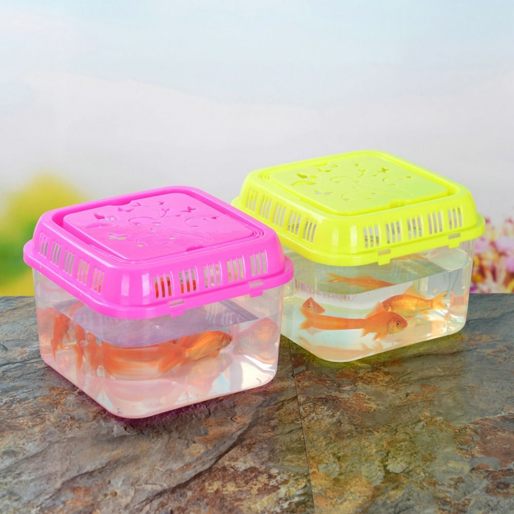 Mini Portable Fish Tank Pet Su - đánh giá và giá Aquarium Goldfish