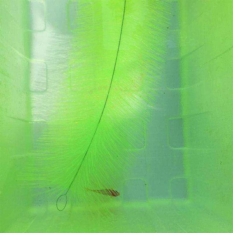 Breeding Grass for Koi Fish Eg - đánh giá và giá Aquarium Fish Eggs