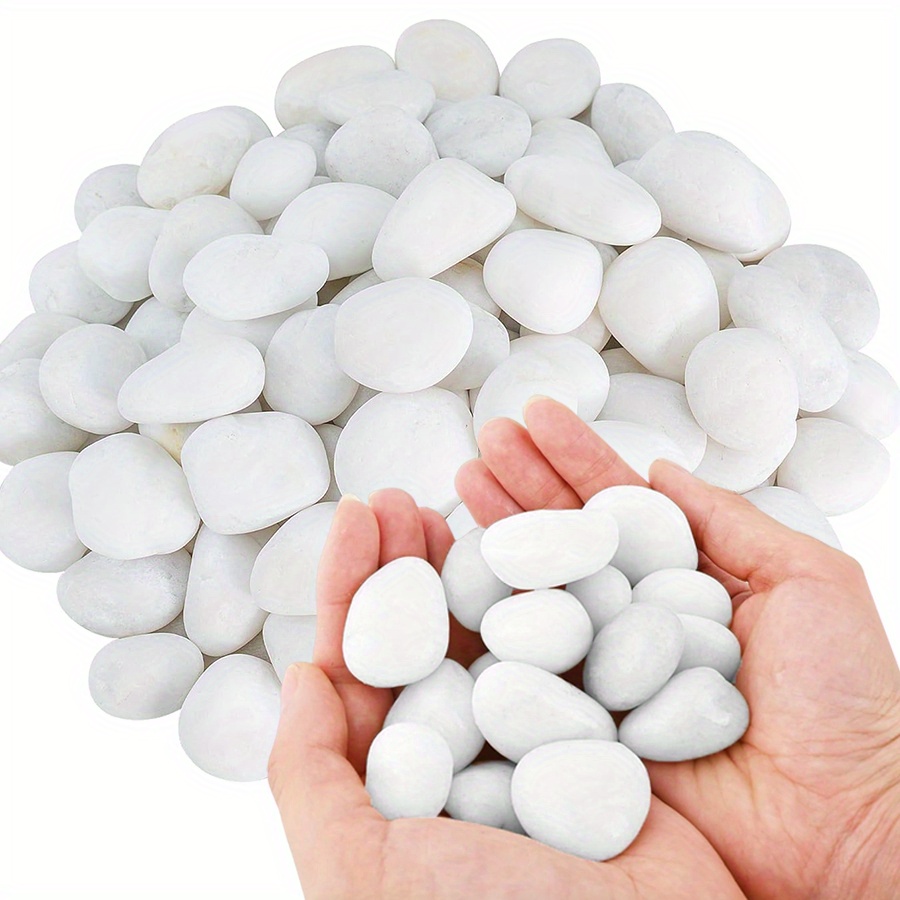 200/400g White High Polished N - đánh giá và giá Aquarium Fish Types