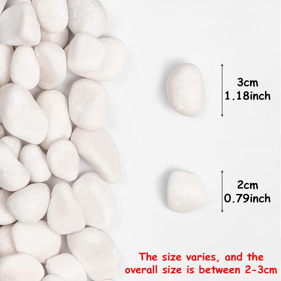 200/400g White High Polished N - đánh giá và giá Aquarium Fish Types