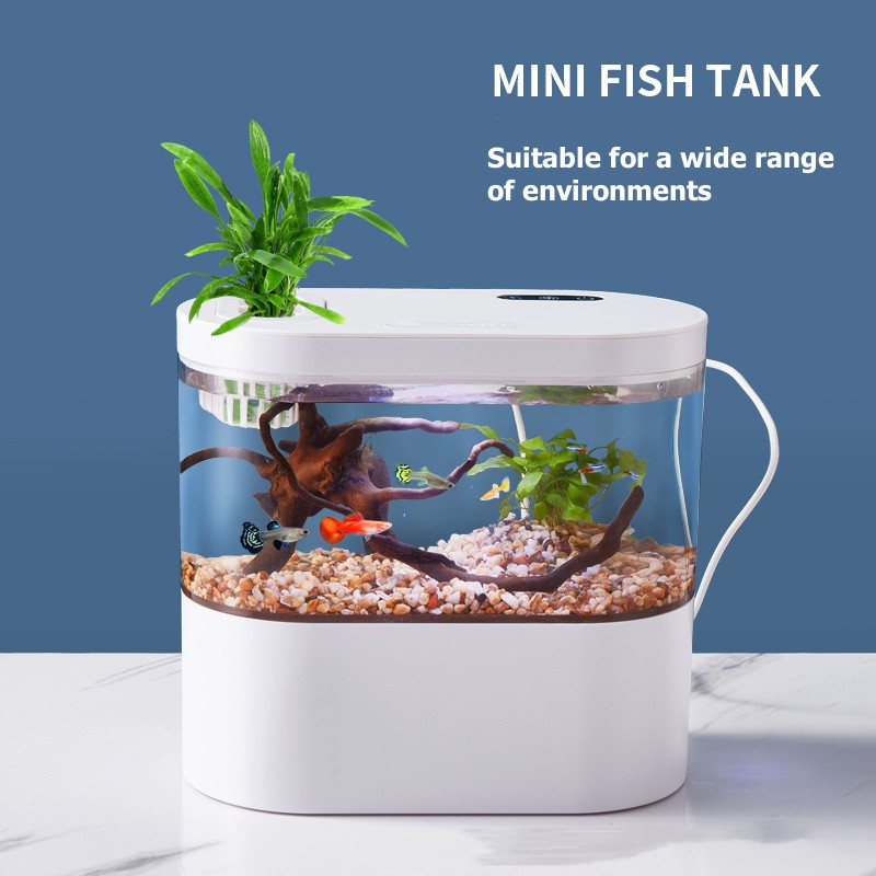 Mini Desktop Aquarium Fish Tan - đánh giá và giá Aquarium Goldfish