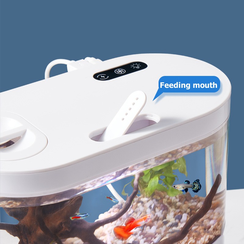 Mini Desktop Aquarium Fish Tan - đánh giá và giá Aquarium Goldfish