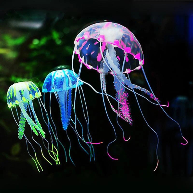 1/2pcs Silicone Fish Simulatio - đánh giá và giá Aquarium Fish Discus