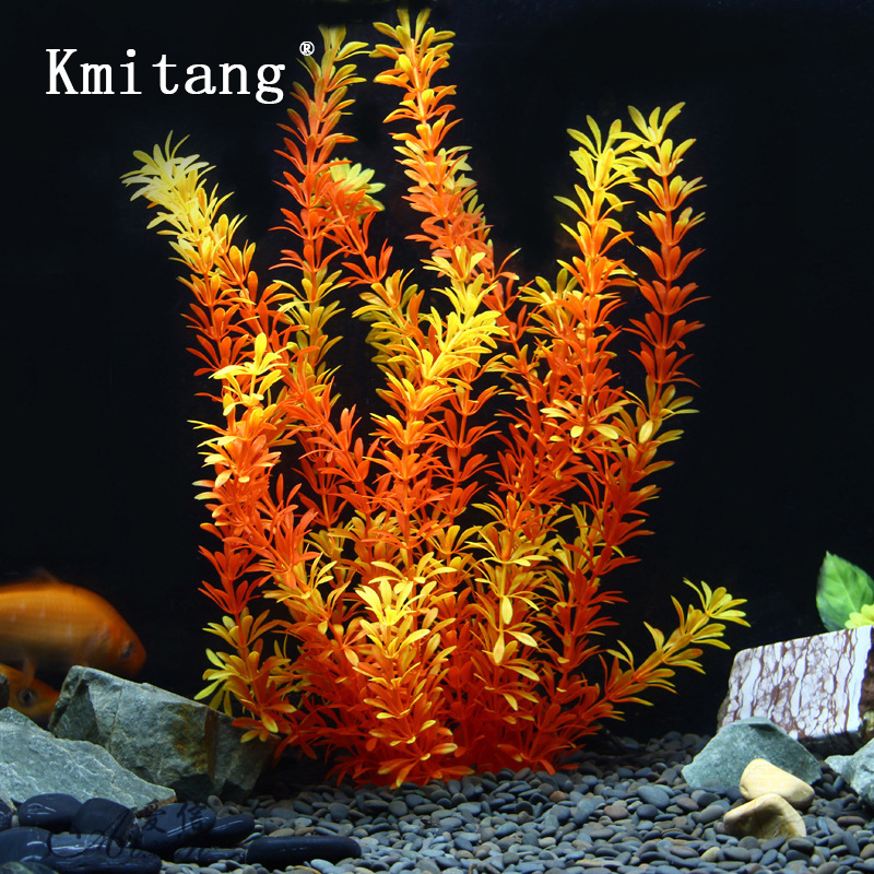 100Cm Thực Vật Nhiệt Đới Lớn N - đánh giá và giá Aquarium Fish Types