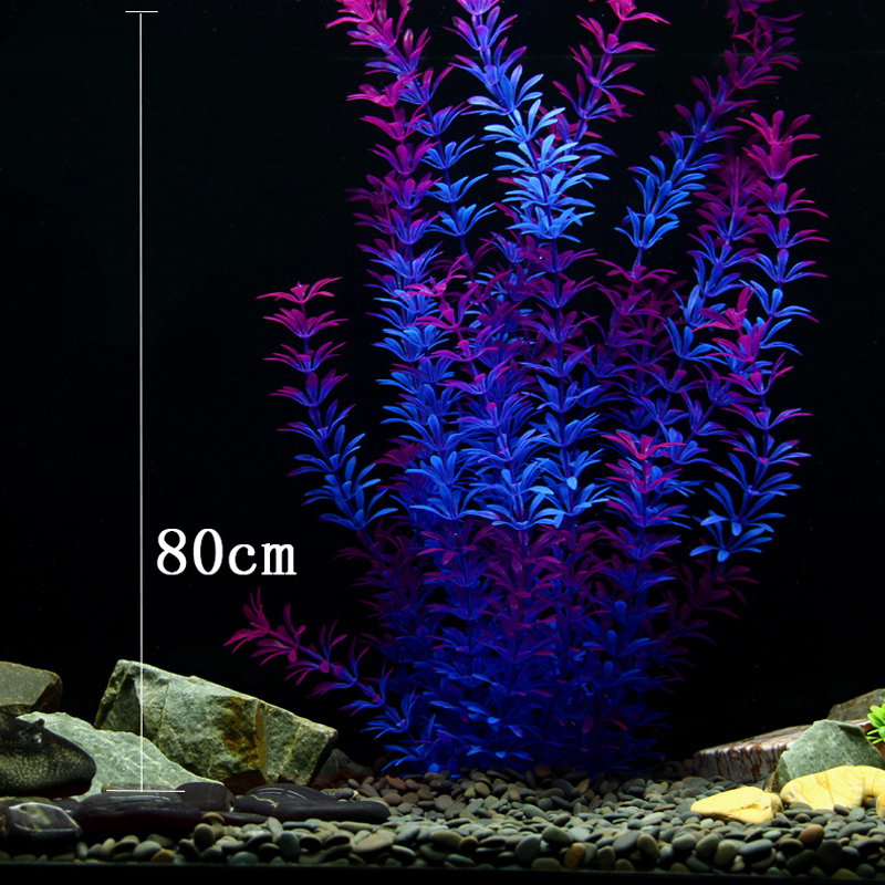100Cm Thực Vật Nhiệt Đới Lớn N - đánh giá và giá Aquarium Fish Types