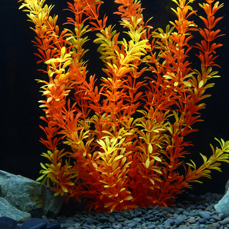 100Cm Thực Vật Nhiệt Đới Lớn N - đánh giá và giá Aquarium Fish Types